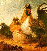 Aelbert Cuyp Rooster Hens oil